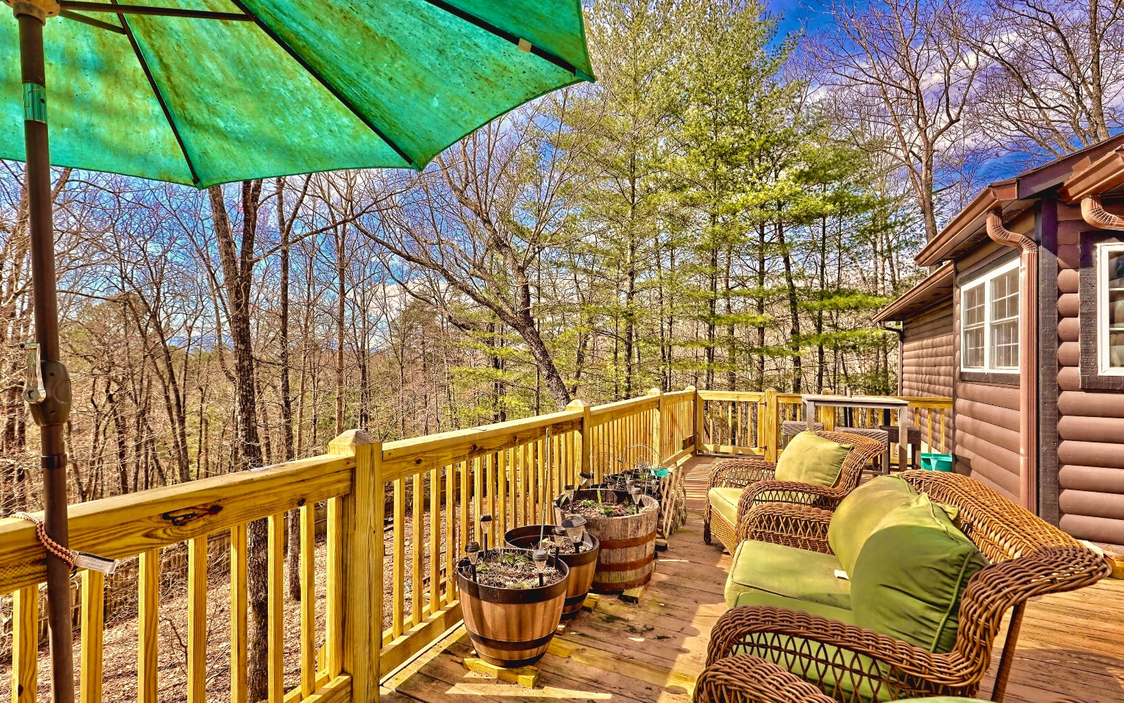 4 Dancing Trees Trail Morganton, GA 30560 - Photo 7 of 67 Additional View