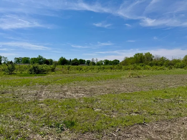 $250,000 | 0 Kankakee Street, Reddick, IL 60961