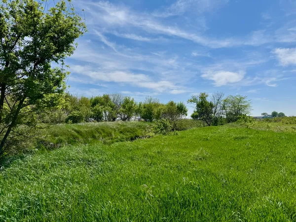 $250,000 | 0 Kankakee Street, Reddick, IL 60961
