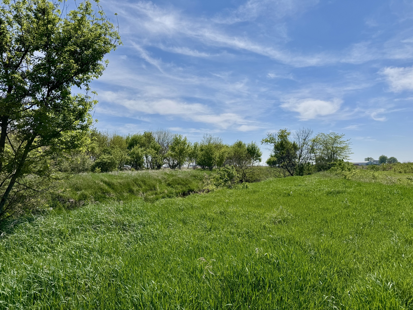 0 Kankakee Street Reddick, IL 60961 - Photo 12 of 25