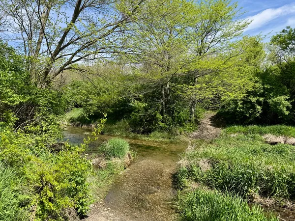 $250,000 | 0 Kankakee Street, Reddick, IL 60961