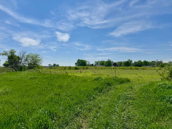 $250,000 | 0 Kankakee Street, Reddick, IL 60961