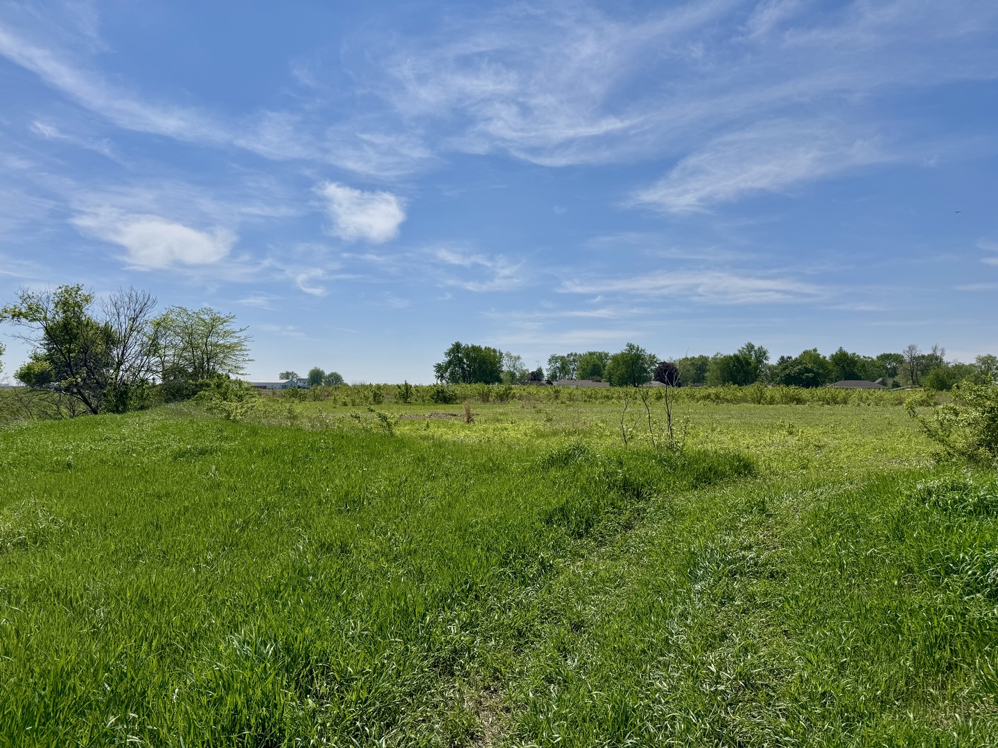 0 Kankakee Street Reddick, IL 60961 - Photo 15 of 25