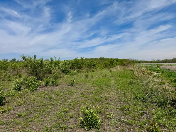 $250,000 | 0 Kankakee Street, Reddick, IL 60961