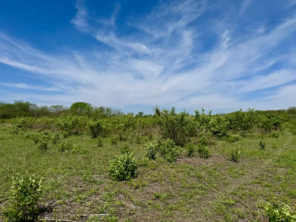 $250,000 | 0 Kankakee Street, Reddick, IL 60961
