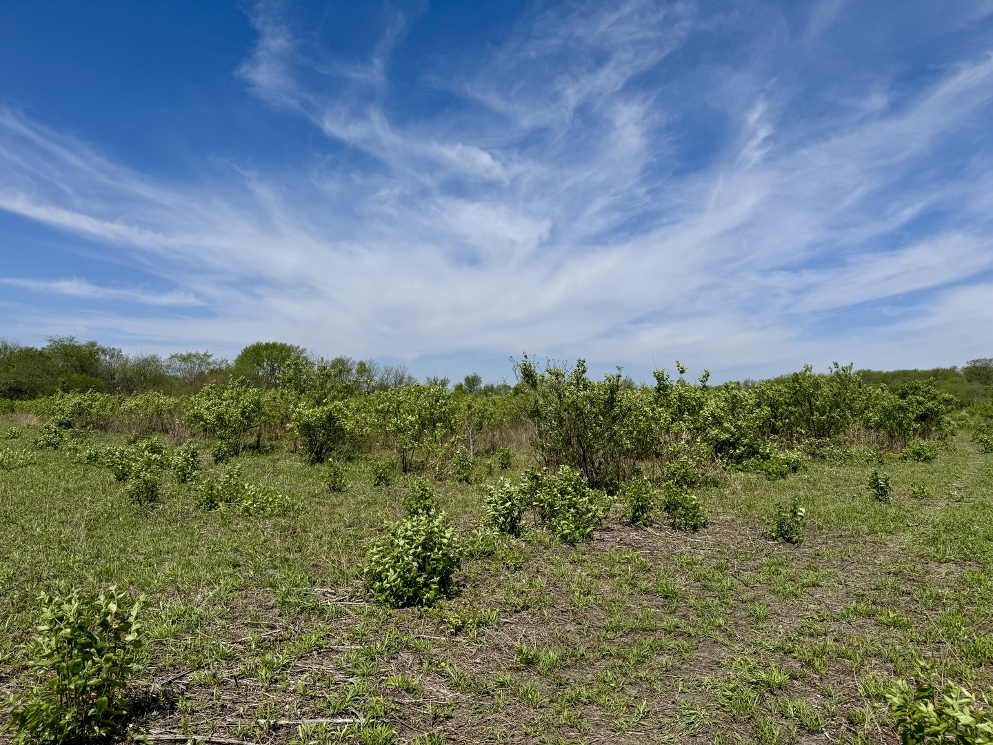 0 Kankakee Street Reddick, IL 60961 - Photo 4 of 25
