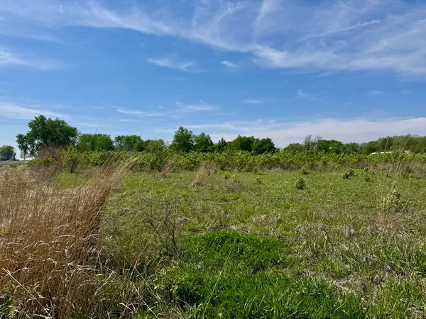 $250,000 | 0 Kankakee Street, Reddick, IL 60961