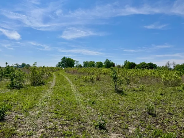 $250,000 | 0 Kankakee Street, Reddick, IL 60961