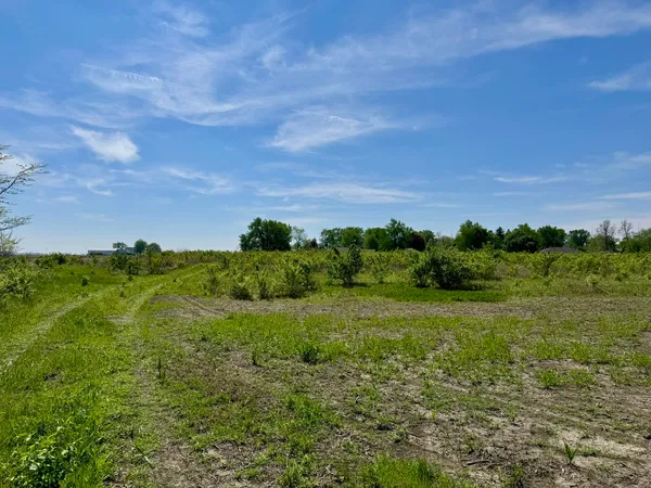 $250,000 | 0 Kankakee Street, Reddick, IL 60961