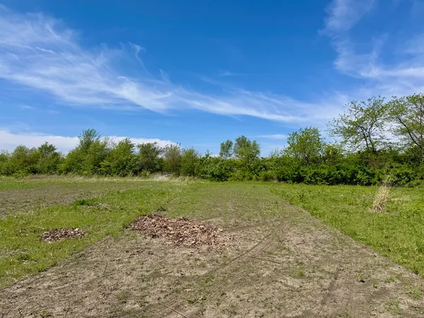$250,000 | 0 Kankakee Street, Reddick, IL 60961