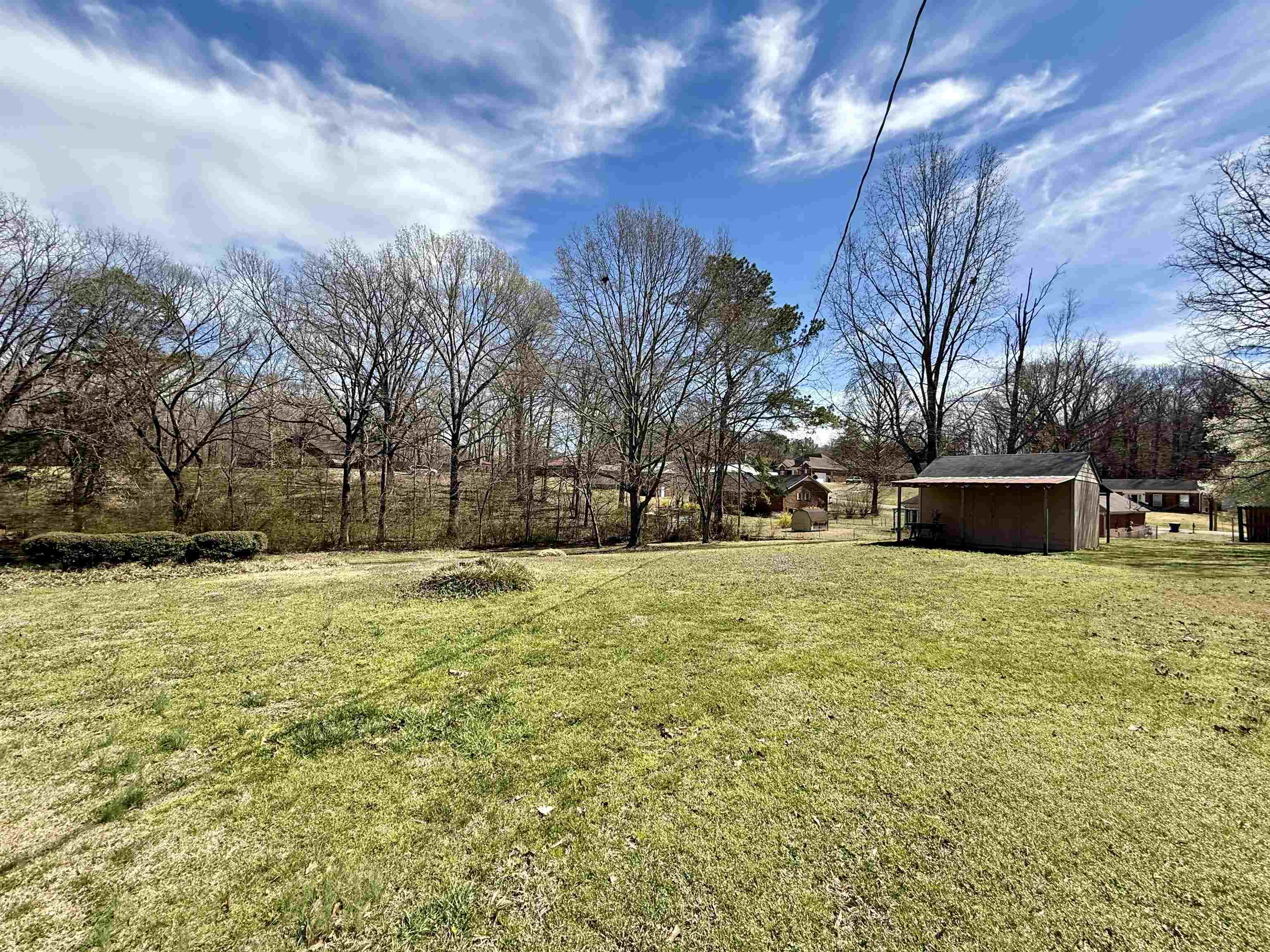 115 Robertson Drive Somerville, TN 38068 - Photo 18 of 19 a tall yard with large trees