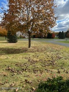 209 Samuel Court Guilderland, NY 12306 - Photo 57 of 60 -6980171728157662911