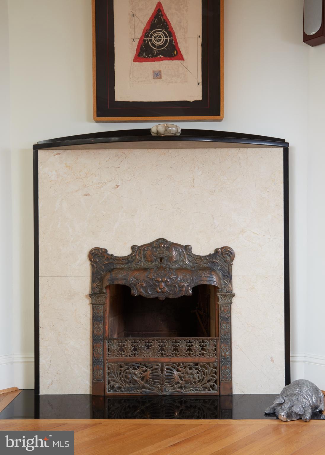 1622 S Street Northwest Washington, DC 20009 - Photo 11 of 23 Foyer Wood Burning Fireplace