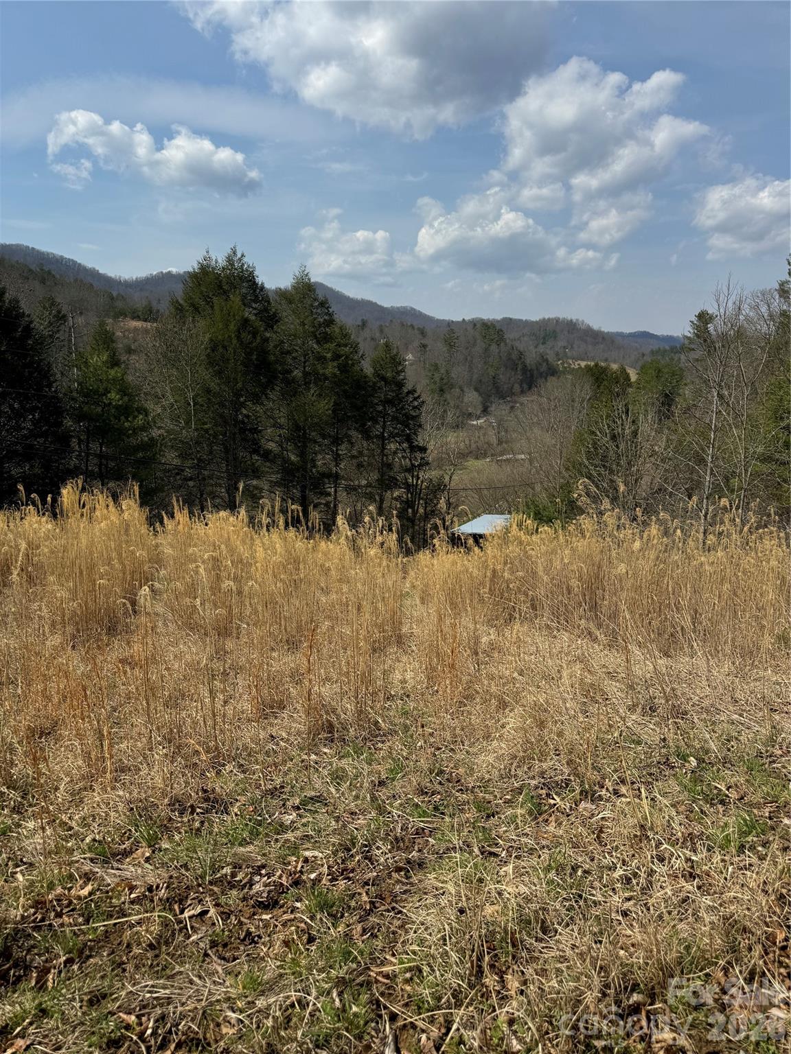 1820 Grapevine Road Marshall, NC 28753 - Photo 31 of 48 Gallery Image 31