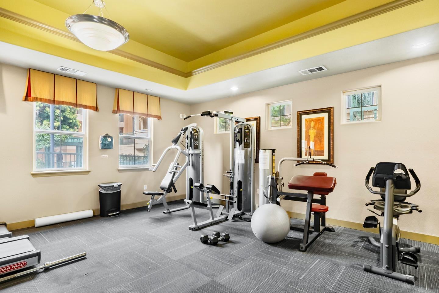 1390 Saddle Rack Street, Unit 223 San Jose, CA 95126 - Photo 27 of 36 a view of a room with gym equipment