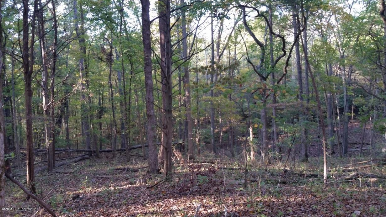 6019 Chenoweth Run Road Louisville, KY 40299 - Photo 5 of 23 6019--10