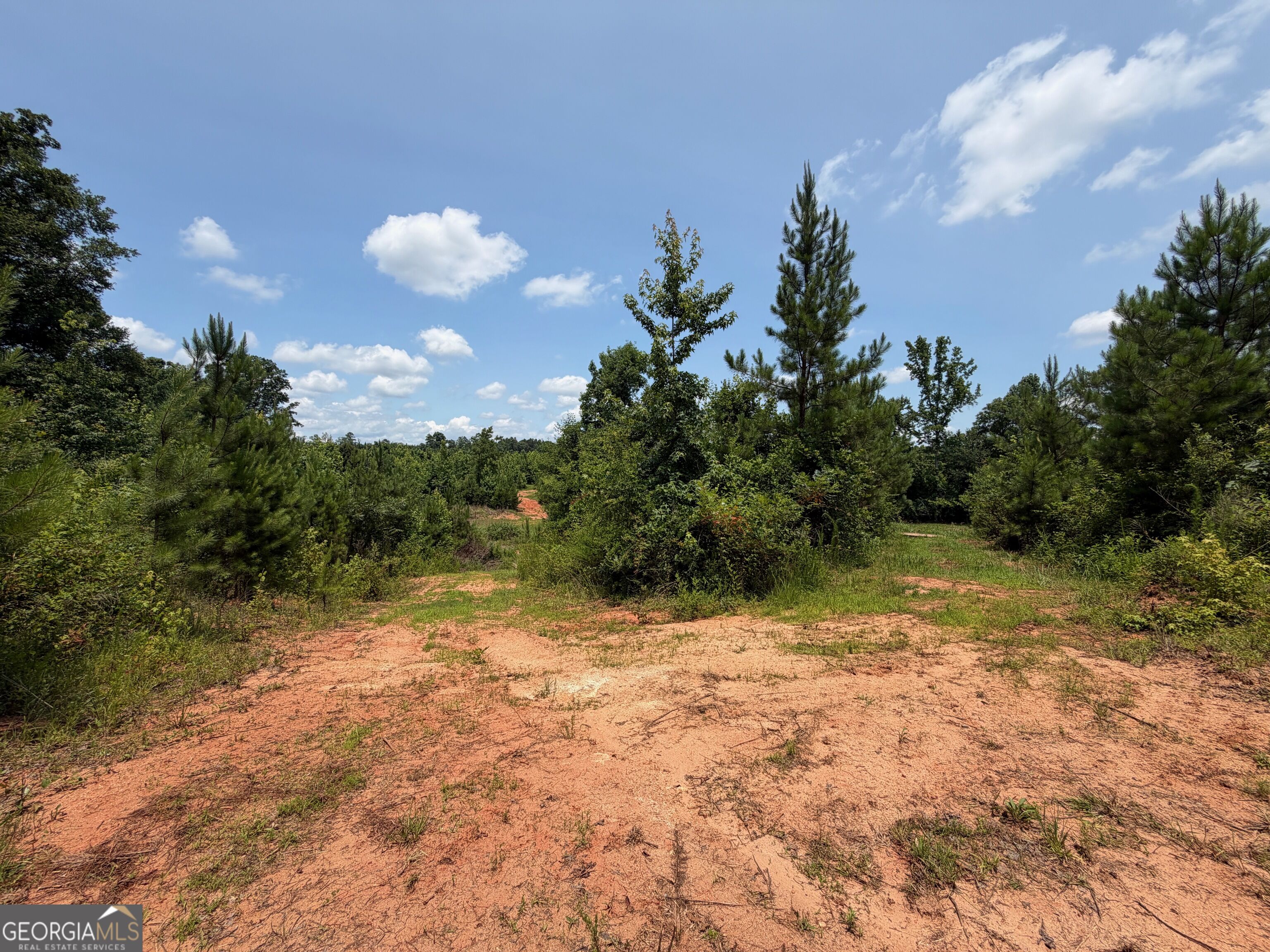 47-acres Cochran Road Madison, GA 30650 - Photo 19 of 38 Gallery Image 19