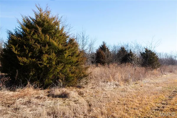 $900,000 | 0 Outlet Road, Valmeyer, IL 62295