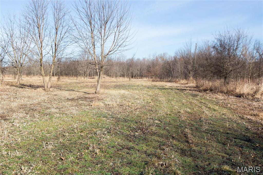 0 Outlet Road Valmeyer, IL 62295 - Photo 12 of 99