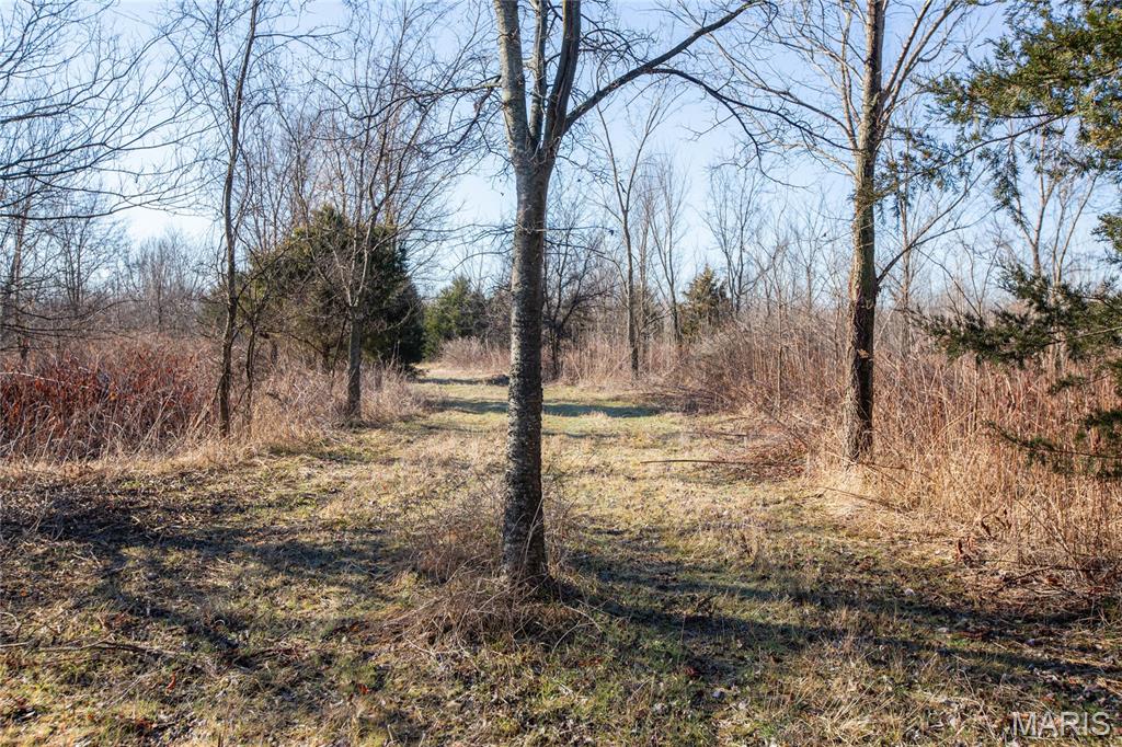 0 Outlet Road Valmeyer, IL 62295 - Photo 13 of 99