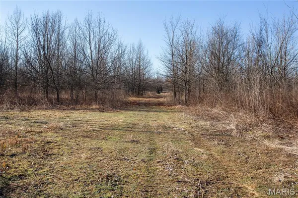 $900,000 | 0 Outlet Road, Valmeyer, IL 62295