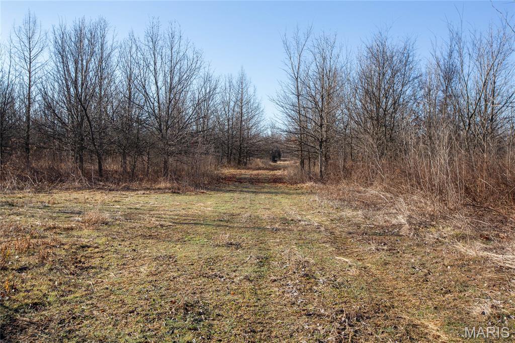 0 Outlet Road Valmeyer, IL 62295 - Photo 14 of 99