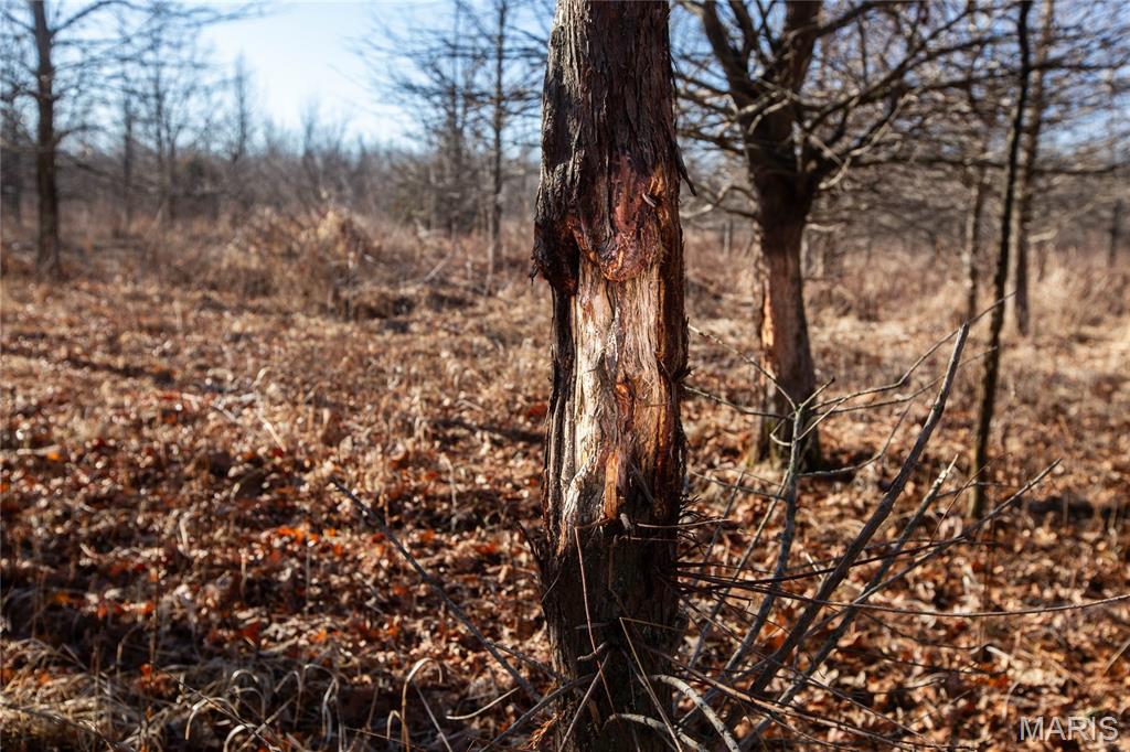 0 Outlet Road Valmeyer, IL 62295 - Photo 15 of 99