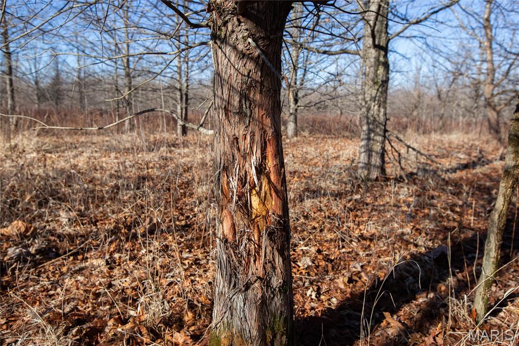 0 Outlet Road Valmeyer, IL 62295 - Photo 16 of 99