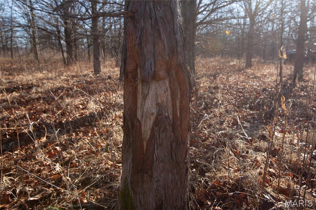 0 Outlet Road Valmeyer, IL 62295 - Photo 17 of 99