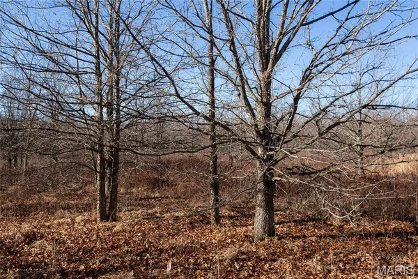 $900,000 | 0 Outlet Road, Valmeyer, IL 62295
