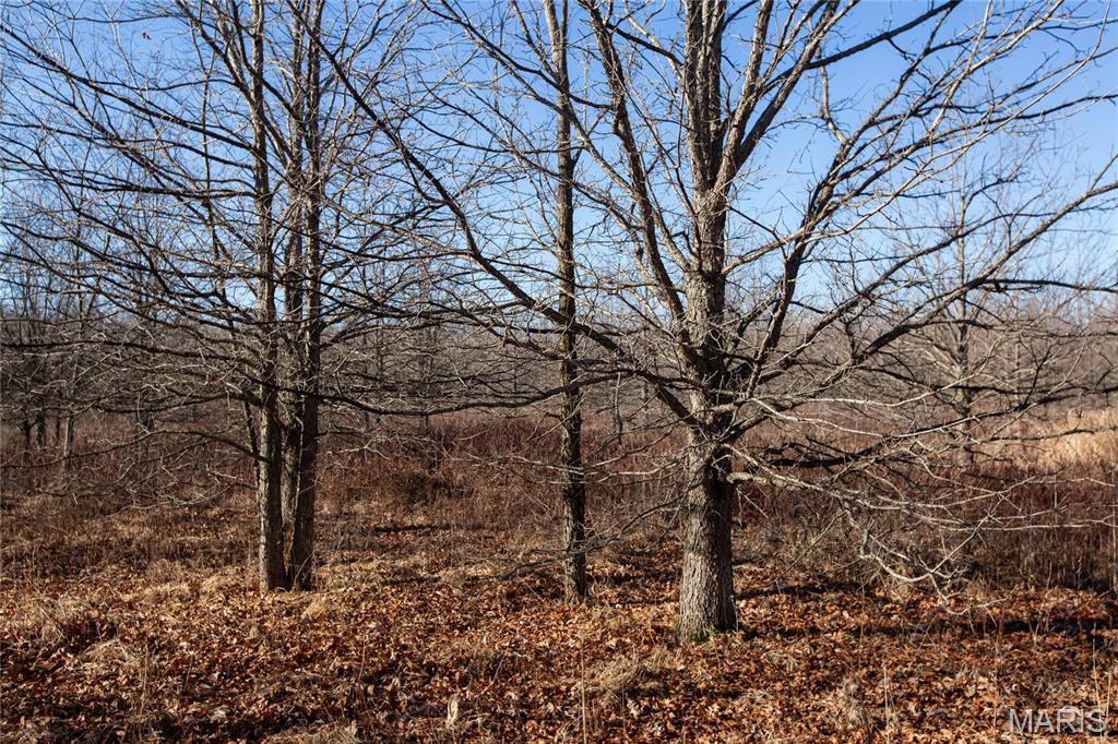 0 Outlet Road Valmeyer, IL 62295 - Photo 18 of 99