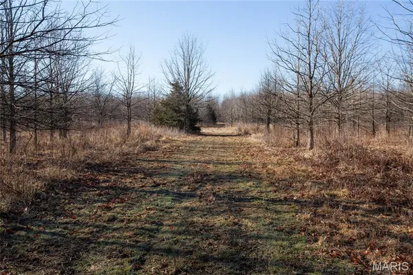 $900,000 | 0 Outlet Road, Valmeyer, IL 62295