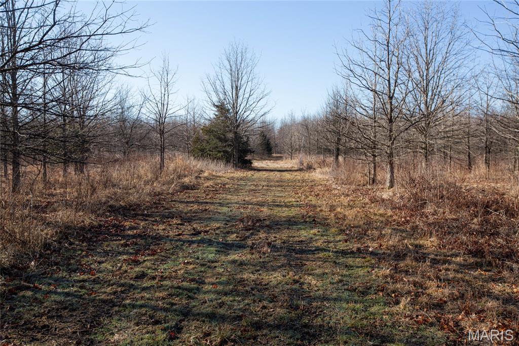 0 Outlet Road Valmeyer, IL 62295 - Photo 19 of 99