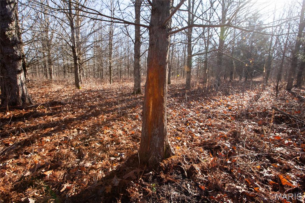 0 Outlet Road Valmeyer, IL 62295 - Photo 20 of 99