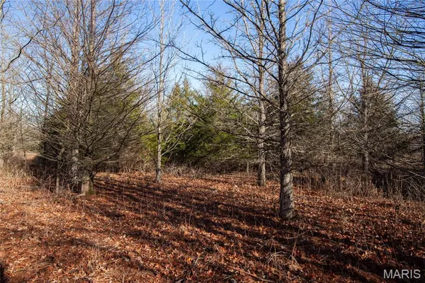 $900,000 | 0 Outlet Road, Valmeyer, IL 62295