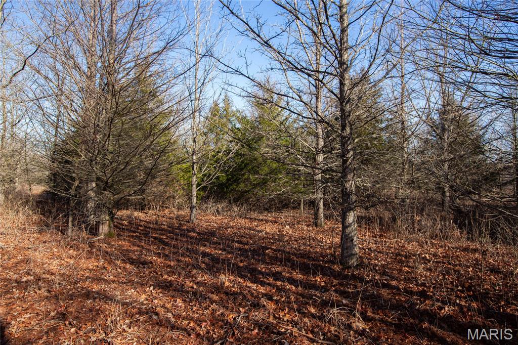 0 Outlet Road Valmeyer, IL 62295 - Photo 21 of 99