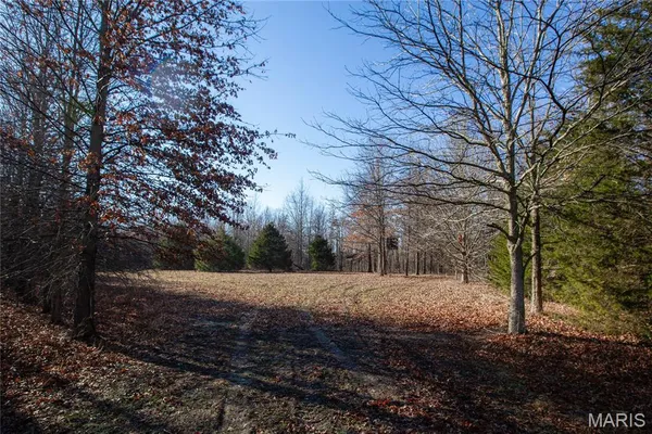 $900,000 | 0 Outlet Road, Valmeyer, IL 62295