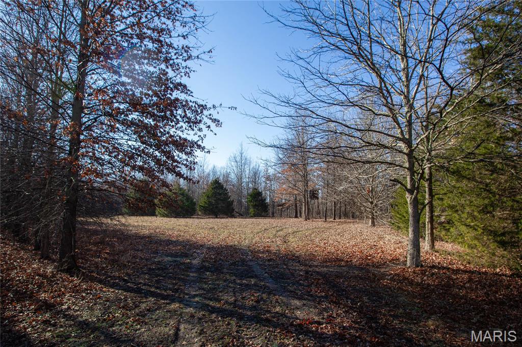 0 Outlet Road Valmeyer, IL 62295 - Photo 22 of 99