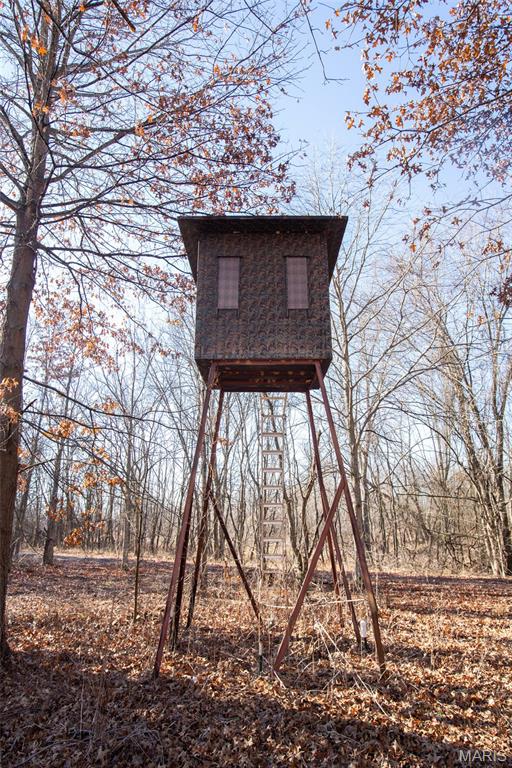 0 Outlet Road Valmeyer, IL 62295 - Photo 23 of 99