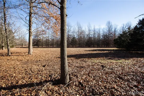 $900,000 | 0 Outlet Road, Valmeyer, IL 62295