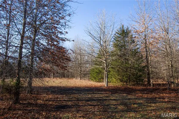 $900,000 | 0 Outlet Road, Valmeyer, IL 62295