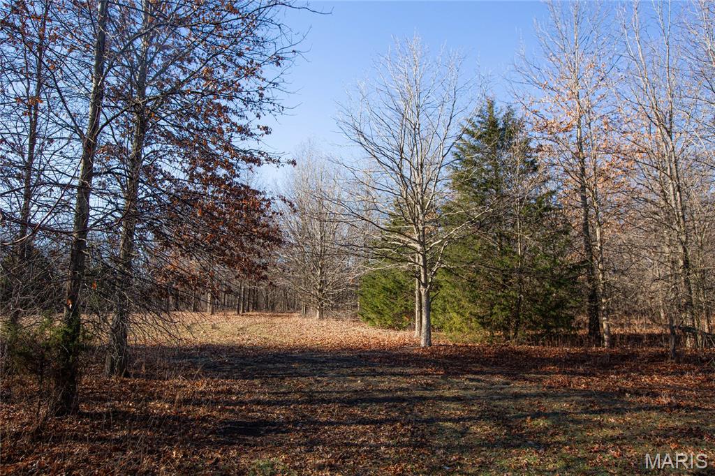 0 Outlet Road Valmeyer, IL 62295 - Photo 25 of 99