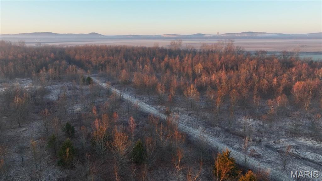 0 Outlet Road Valmeyer, IL 62295 - Photo 36 of 99