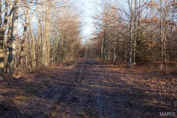 $900,000 | 0 Outlet Road, Valmeyer, IL 62295