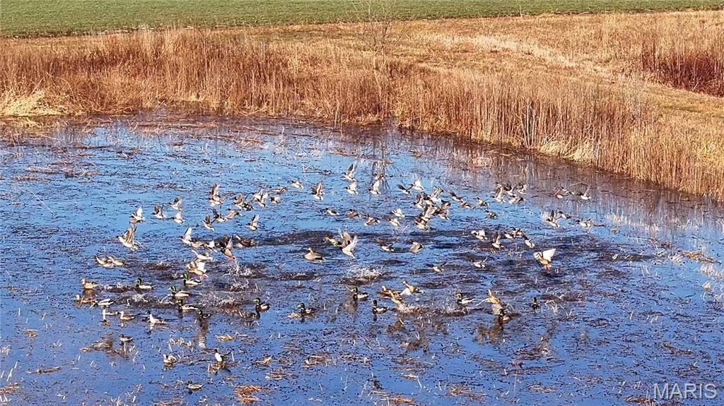 0 Outlet Road Valmeyer, IL 62295 - Photo 41 of 99