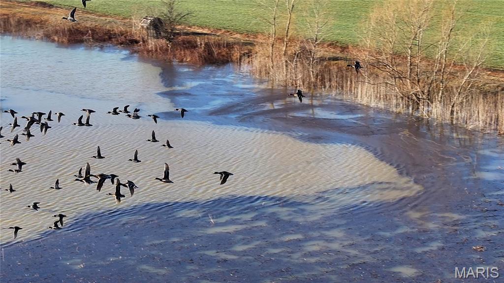 0 Outlet Road Valmeyer, IL 62295 - Photo 42 of 99