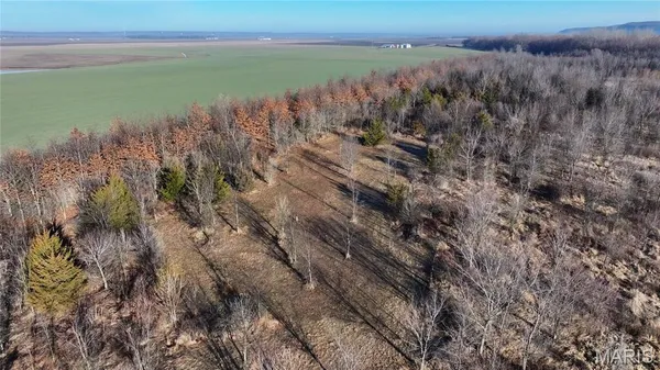 $900,000 | 0 Outlet Road, Valmeyer, IL 62295