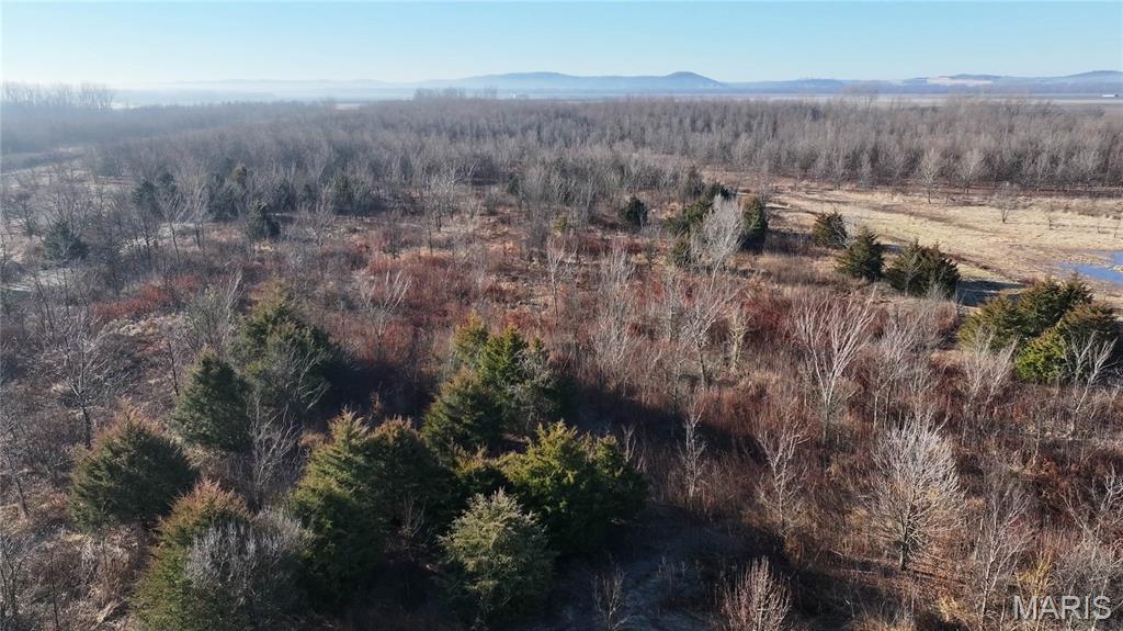 0 Outlet Road Valmeyer, IL 62295 - Photo 44 of 99