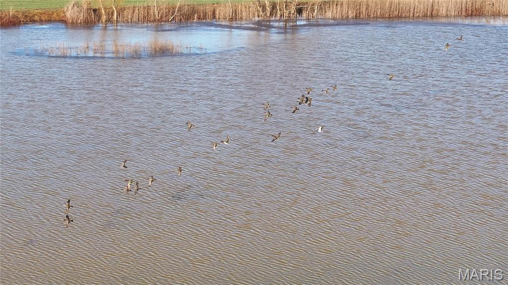 0 Outlet Road Valmeyer, IL 62295 - Photo 47 of 99