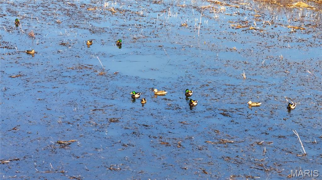 0 Outlet Road Valmeyer, IL 62295 - Photo 48 of 99